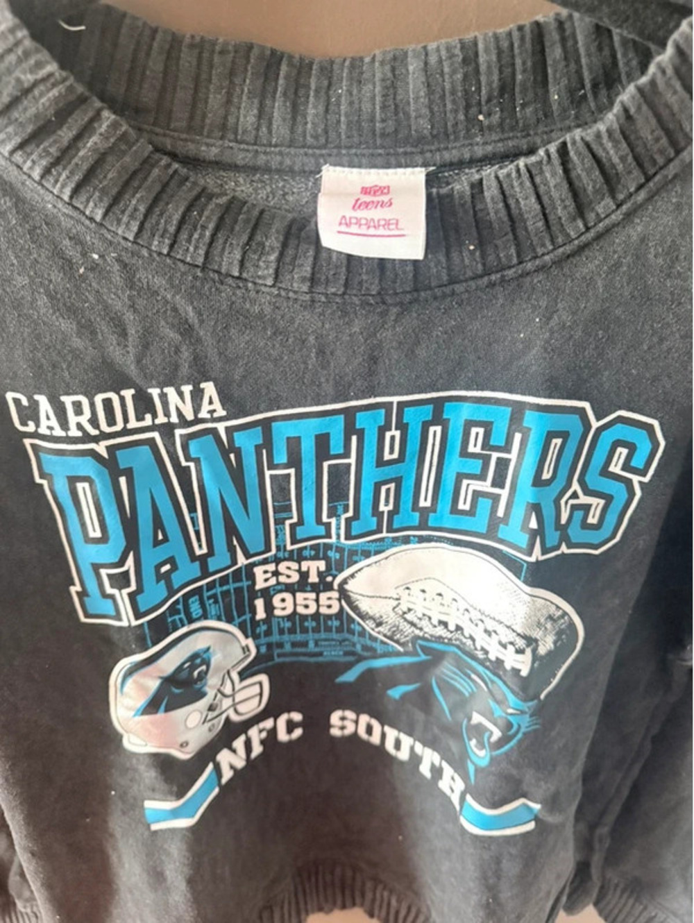 Carolina Panthers sweater / sweatshirt medium